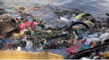 Flytande plastskräp och annan skräp i vatten, inklusive plastpåsar, fisknät och pappersbitar.