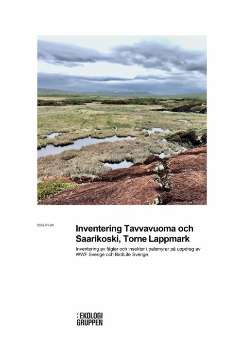 Tavvavvouma-rapport_20220124_Ny_slutversion-1