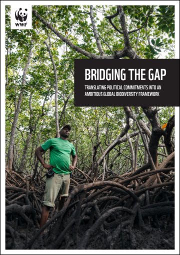 Bridging-the-gap-ENGLISH-for-print_2 Bridging-the-gap-ENGLISH-for-print_2