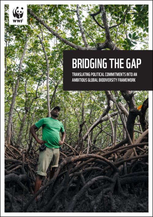 Bridging-the-gap-ENGLISH-for-print_2 Bridging-the-gap-ENGLISH-for-print_2