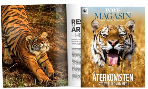 WWF-Magasin-toppartikel-1-2022 WWF-Magasin-toppartikel-1-2022