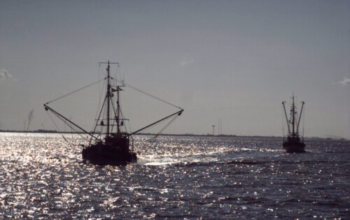 Waddensea, North Sea