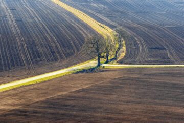 Agriculture landscape with a road crossing