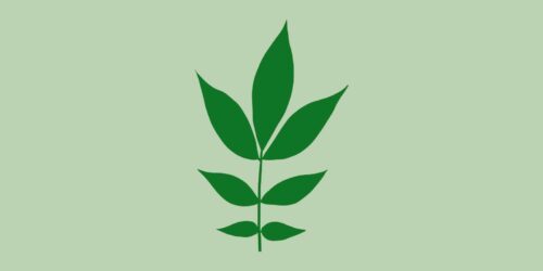 Skog