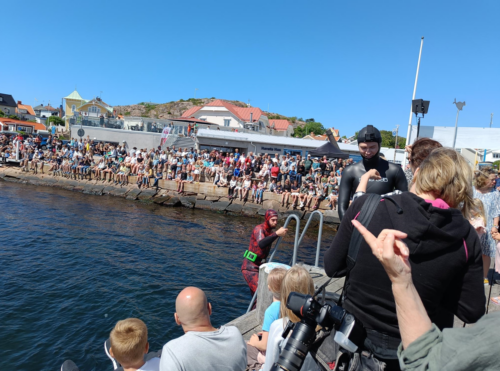 Dykare vid Havets hus på bryggan 2022 Dykare vid Havets hus på bryggan 2022