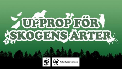 Upprop för skogens arter