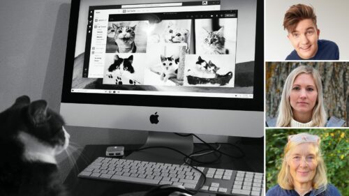 PM-2 (1).jpg Kattkonferensen modereras av Daniel Norberg. Louise Carlsson, WWFs tigerexpert och Suzanne Jernberg, veterinär medverkar.