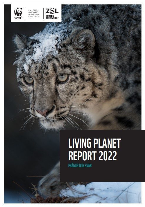 Living PLanet Reoprt 2022 Frågor & svar Living PLanet Reoprt 2022 Frågor & svar