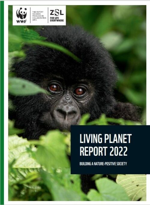 Living Planet Report 2022 engelsk rapport Living Planet Report 2022 engelsk rapport