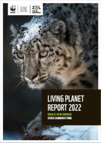 Living Planet Report 2022 svensk sammanfattning