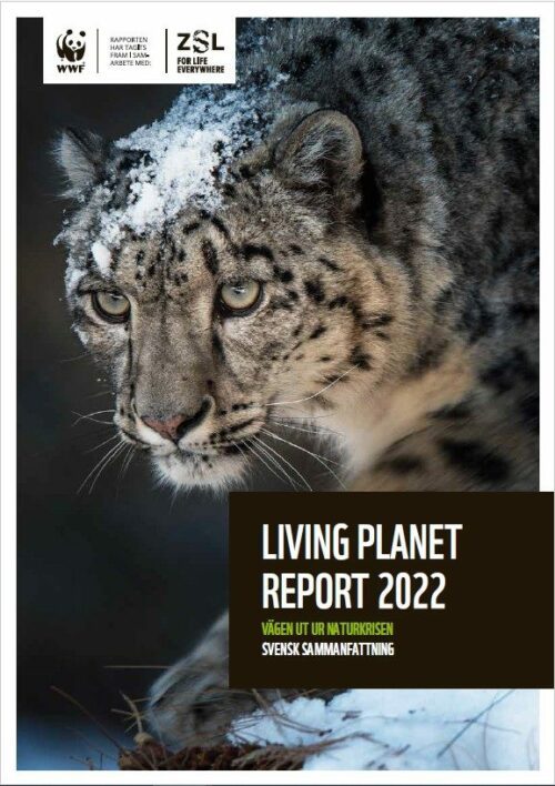 Living Planet Report 2022 svensk sammanfattning