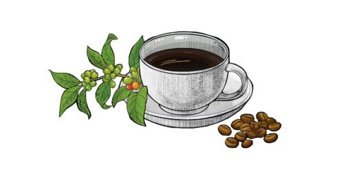 VEGOGUIDEN_KAFFE