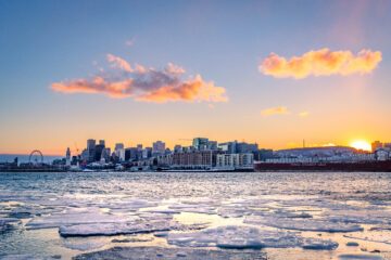 FN-mötet om biologisk mångfald i Montreal pågår mellan 9 och 19 december. Foto: Getty Images