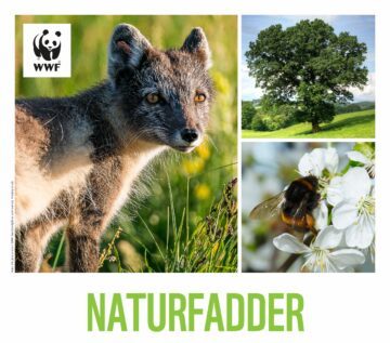 Ett kollage med tre bilder: en vargunge, ett träd och ett bi på en blomma. Text: "NATURFADDER". WWF-logotyp finns.