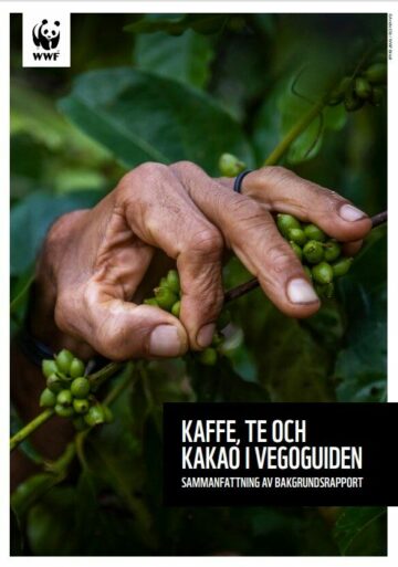 Kaffe, te och kakao i Vegoguiden 2022 Kaffe, te och kakao i Vegoguiden 2022