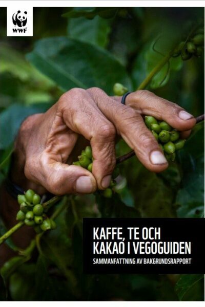 Kaffe, te och kakao i Vegoguiden 2022 Kaffe, te och kakao i Vegoguiden 2022