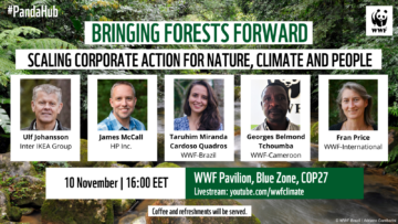 Bringing Forest Forward