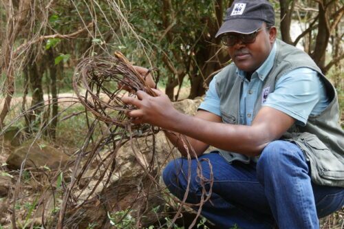 Yussuf Wato, WWF Kenya