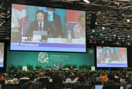 Cop15