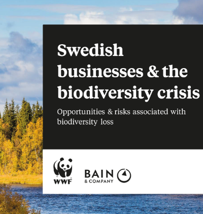 Report cover for swedish business and the biodiversity crisis. A forest in the background with a lake