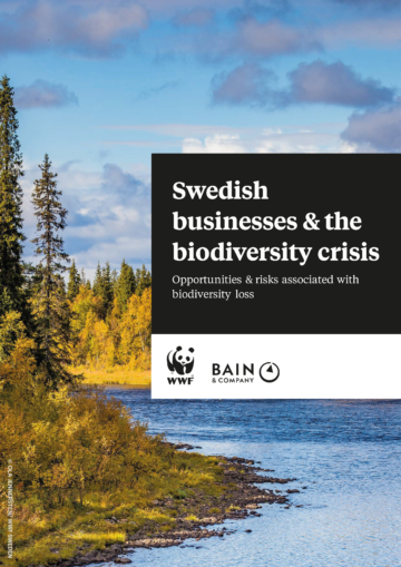Framsida Swedish businesses and the biodiversity crisis