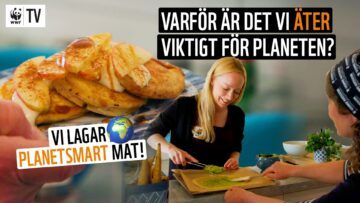 Halmstad_avsnitt 2_thumbnail