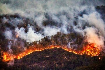 Skogsbrand i Blue Mountains, nära Sydney