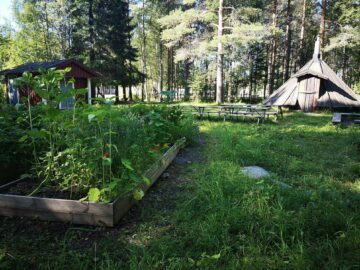 Tomtebogårds skolans trädgård