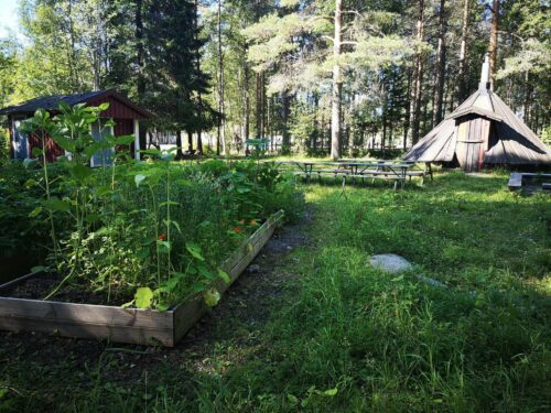 Tomtebogårds skolans trädgård