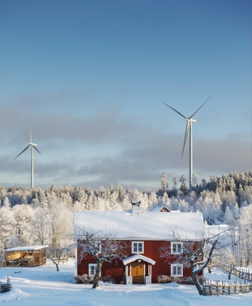 Foto: Ola Jennersten/WWF