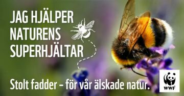 Delningsbild-NaturensSuperhjältar_V2-1200×630 Delningsbild-NaturensSuperhjältar_V2-1200×630