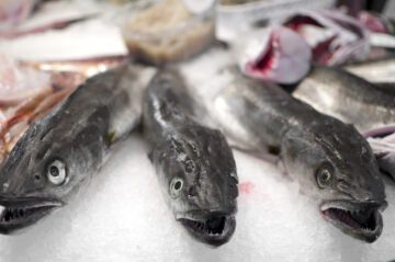 At the fish market