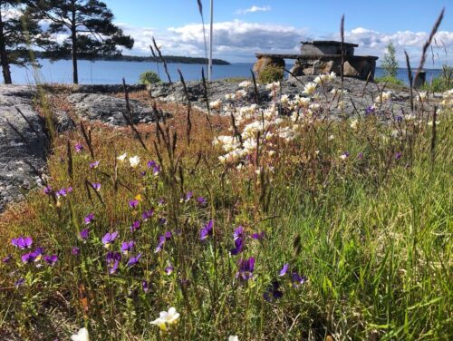 Nämdö (c) Lotten Hjelm
