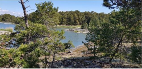 Nämdöskärgård_1246x611