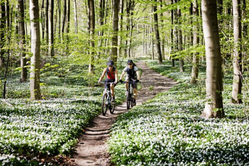 Att cykla istället för att ta bilen är ett sätt att minska koldioxidutsläppen. Foto: Getty Images