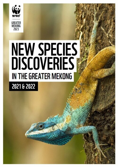 New Species Discoveries in the Greater Mekong 2021 2022 New Species Discoveries in the Greater Mekong 2021 2022