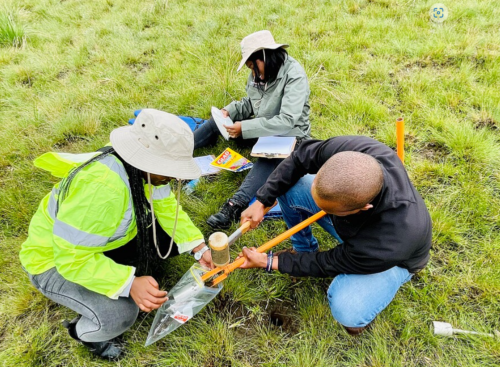 Project staff collecting soil samples in the eastern cape drakensberg grasslands in South Africa