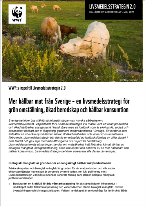 WWF-Inspel-Livmedelsstrategin-2.0-maj-1