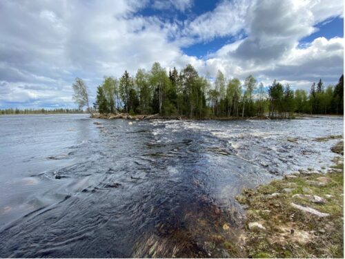 Fritt strömmande vatten, Juktån. Fotograf: Jill Staveley Öhlund, WWF