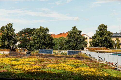 Botanisk takträdgård med solceller