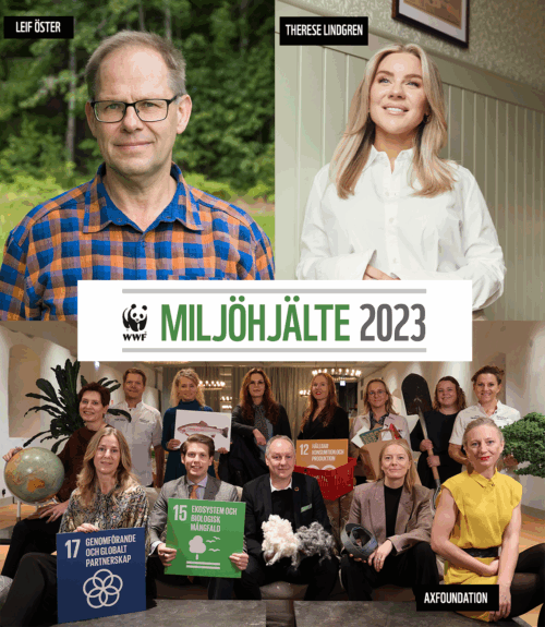 De tre nominerade till Årets miljöhjälte. Från vänster är det Leif Öster, till högerTheres Lindgren och längst nere Axfoundation.