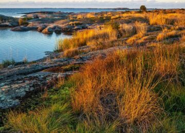 Höstfärger i Långskärs naturreservat