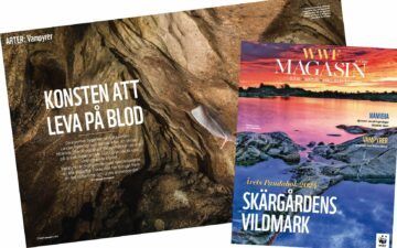 WWF Magasin 3-23