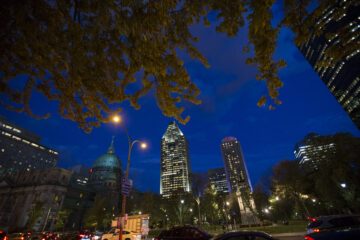 I slutet av 2022 skrev nära 200 länder under ett globalt ramverk för biologisk mångfald i Montreal. Nu ska Sverige ta fram en handlingsplan. Foto: Getty Images