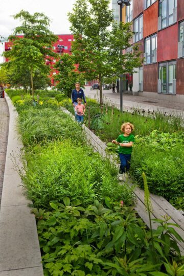 Barnfamilj går på en träplankor i gröna planteringar