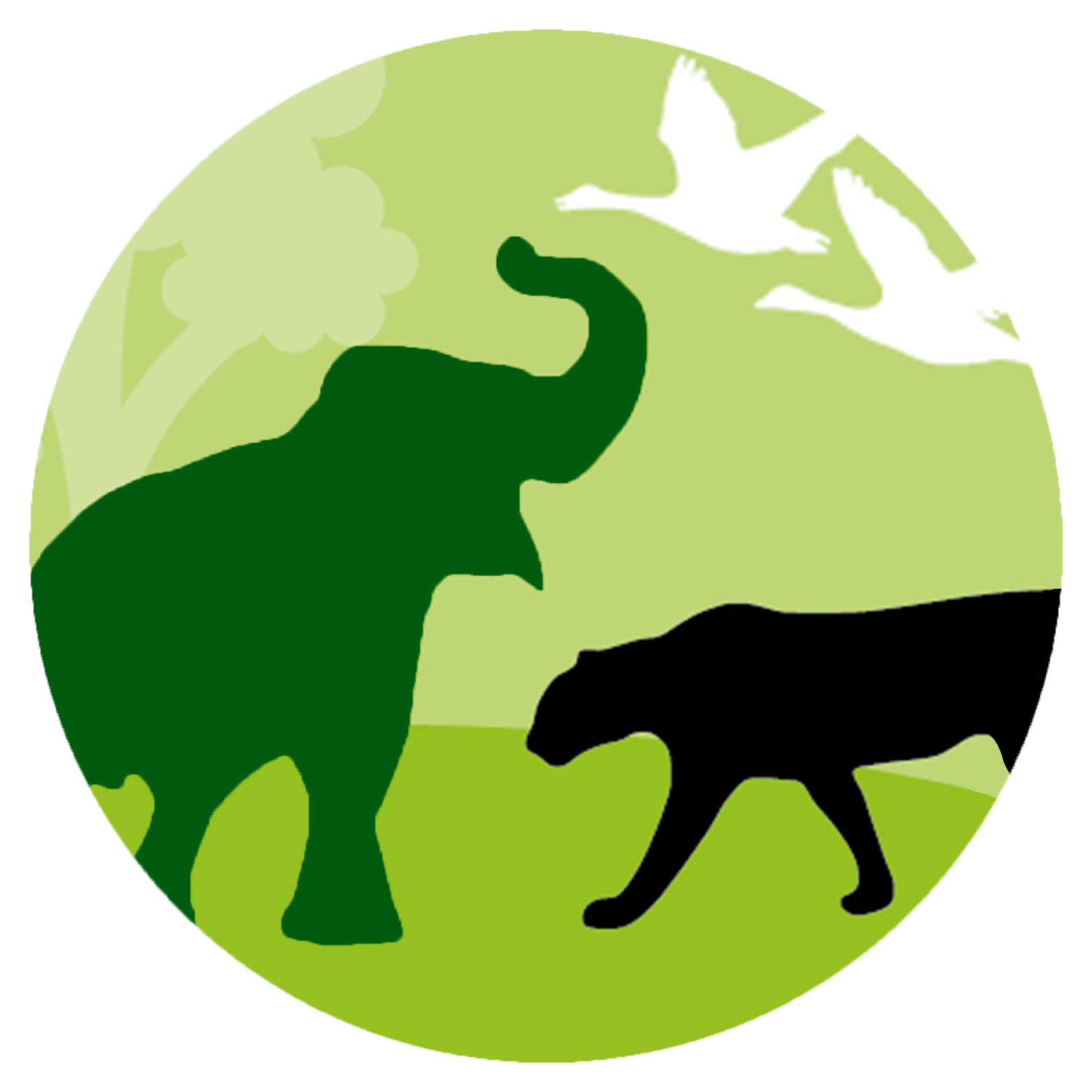 Biodiversity