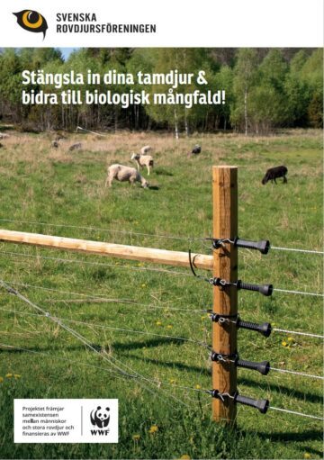 Svenska rovdjursföreningen – stängsla in dina tamdjru & bidra till den biologiska mångfalden Svenska rovdjursföreningen – stängsla in dina tamdjru & bidra till den biologiska mångfalden