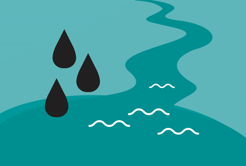 WWF and H&M Group Water Stewardship