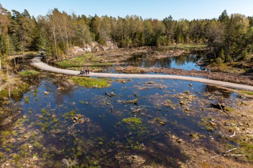 Flygfoto över våtmark i Stockholm med promenadväg igenom. Exempel på naturbaserad lösning.