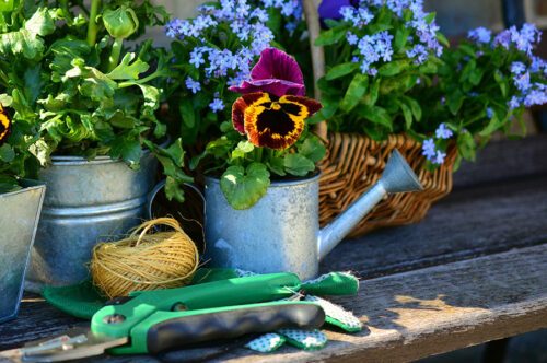 Blomplanteringar och trädgårdsvekrtyg.
